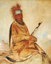 WyEeYogh Mies järkevä - George Catlin — näkymä teoksesta