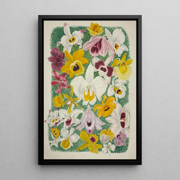 George De Alwis - Mon Jardin a Ceylan Pl002.webp