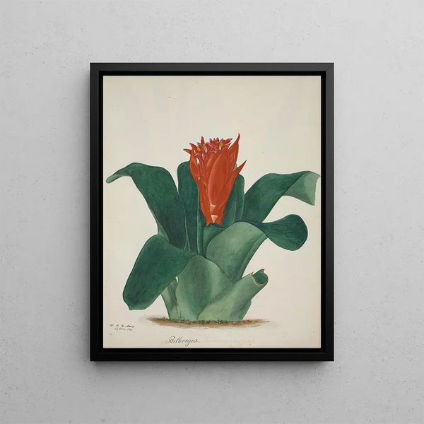 George De Alwis - Mon Jardin a Ceylan Pl025.webp
