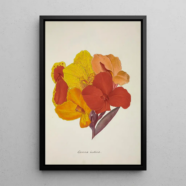 George De Alwis - Mon Jardin a Ceylan Pl054.webp