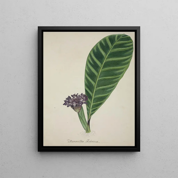 George De Alwis - Mon Jardin a Ceylan Pl084.webp