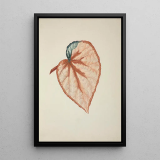 George De Alwis - Mon Jardin a Ceylan Pl270.webp