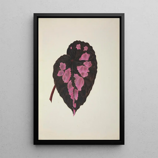 George De Alwis - Mon Jardin a Ceylan Pl271.webp