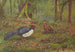 Kaleege-maalaus mustalla taustalla - George Edward Lodge — näkymä teoksesta