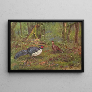 George Edward Lodge - BlackBacked Kaleege.webp