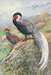 Ripponin Hopeahybridikaleege - George Edward Lodge — näkymä teoksesta
