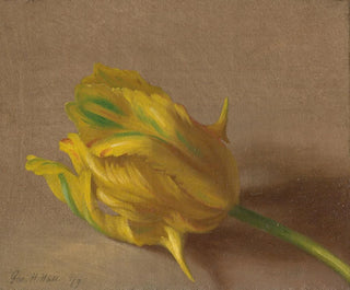 Tulip - George Henry Hall — näkymä teoksesta