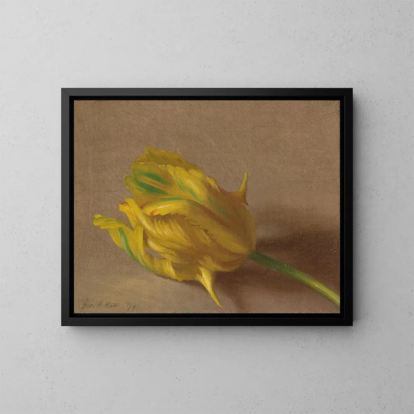Tulip - George Henry Hall — kehystetty taideteos seinällä
