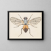 Aquarellimaalaus entomologiasta Pl079 - George Hudson — kehystetty taideteos seinällä