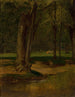 Ruisseau à truites de North Conway - George Inness — näkymä teoksesta