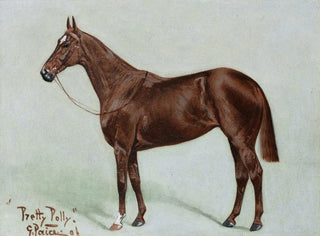 George Paice - Pretty Polly.webp