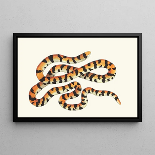 George Shaw - THE PAINTED SNAKE.webp