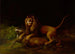Leijona hyökkäämässä peuralle - George Stubbs — näkymä teoksesta