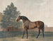 Enclume - George Stubbs — näkymä teoksesta