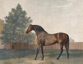 Enclume - George Stubbs — näkymä teoksesta