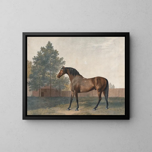 Enclume - George Stubbs — kehystetty taideteos seinällä
