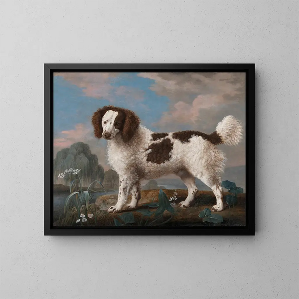 Norfolk spaniel brun et blanc - George Stubbs — kehystetty taideteos seinällä
