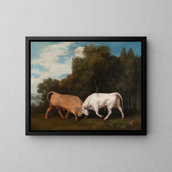 Taistelu härkää vastaan - George Stubbs — kehystetty taideteos seinällä