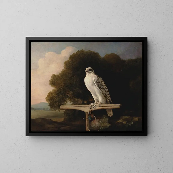 Faucon du Groenland - George Stubbs — kehystetty taideteos seinällä