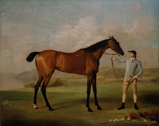 Molly Longlegs avec son jockey - George Stubbs — näkymä teoksesta