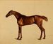 Pangloss - George Stubbs — näkymä teoksesta