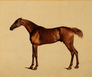 George Stubbs - Pangloss.webp