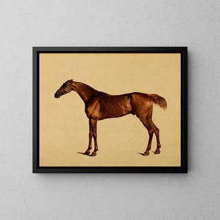 George Stubbs - Pangloss.webp