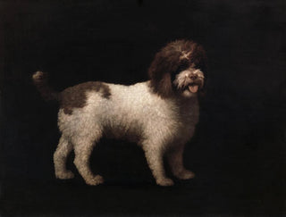 spaniel d'eau - George Stubbs — näkymä teoksesta