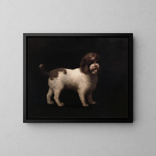 spaniel d'eau - George Stubbs — kehystetty taideteos seinällä