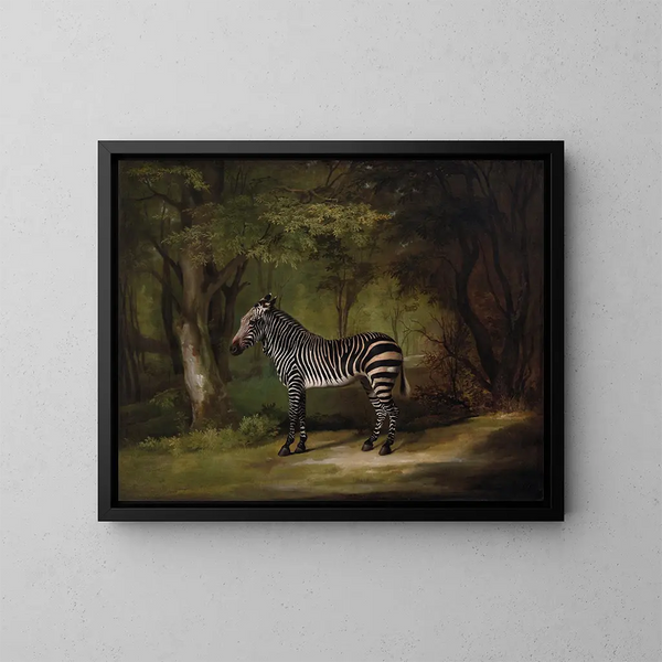 Zèbre - George Stubbs — kehystetty taideteos seinällä