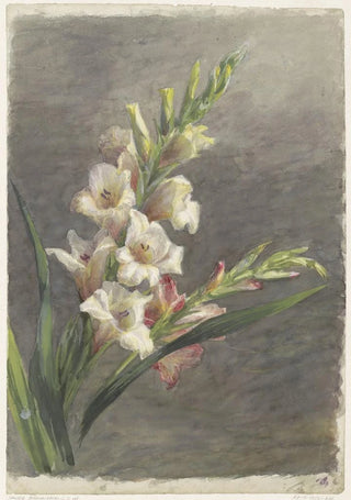 Gerardina Jacoba van de Sande Bakhuyzen - Gladiolen.webp