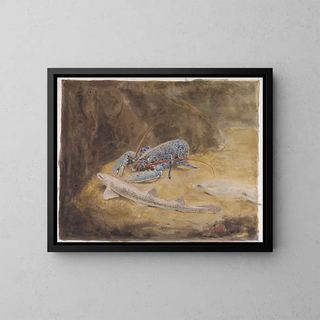 Gerrit Willem Dijsselhof - Aquarium met drie Noordzee vissen Zeekreeft Hondshaai en Schol.webp