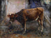 Vache - Giuseppe Pennasilico — näkymä teoksesta