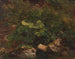 Kasvitutkimus - Gustav Friedrich Papperitz — näkymä teoksesta