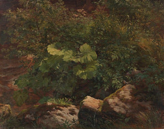 Gustav Friedrich Papperitz - Pflanzenstudie.webp