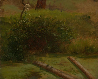 Ciguë de Blhender - Gustav Osterroht — näkymä teoksesta