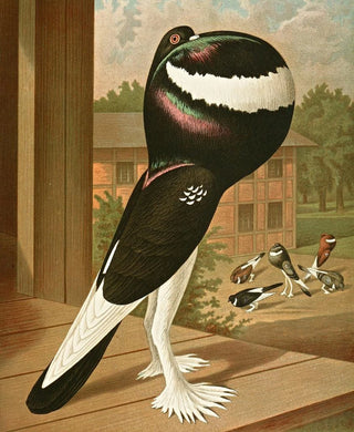 Gustav Prtz - C gutt anglicana.webp