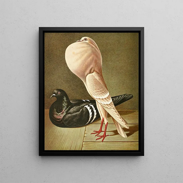 Gustav Prtz - C gutturosa minima.webp