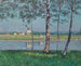 Rive de la Seine à Petit-Gennevilliers - Gustave Caillebotte — näkymä teoksesta