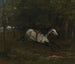 Hevonen jatkuvasti - Gustave Courbet — näkymä teoksesta