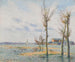 La Loire à Trentemoult - Gustave Loiseau — näkymä teoksesta