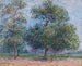 Kevät, kukkivat omenapuut - Gustave Loiseau — näkymä teoksesta