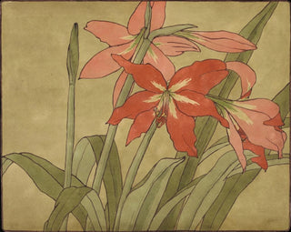 Amaryllis - Hannah Borger Overbeck — näkymä teoksesta