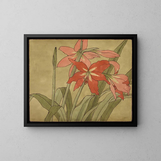 Amaryllis - Hannah Borger Overbeck — kehystetty taideteos seinällä