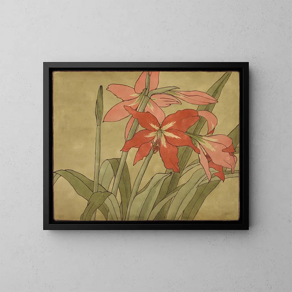 Amaryllis - Hannah Borger Overbeck — kehystetty taideteos seinällä
