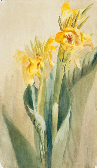 Hannah Borger Overbeck - Cana.webp