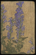 Delphinium - Hannah Borger Overbeck — näkymä teoksesta