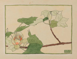 Tulipier - Hannah Borger Overbeck — näkymä teoksesta