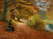 Sentier boisé en automne - Hans Andersen Brendekilde — näkymä teoksesta