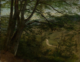 Hans Thoma - Blick durch Bume und Gestruch auf Tal.webp